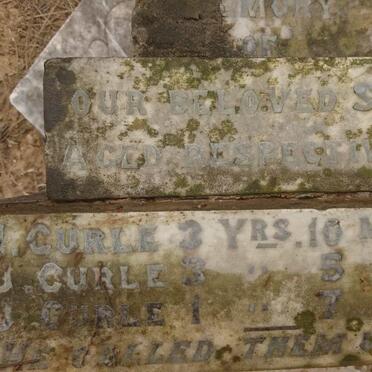 CURLE E.H. :: CURLE D.U. :: CURLE B.U.