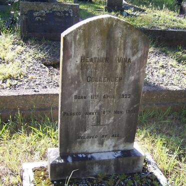 COLLENDER Heather Vina 1923-1956