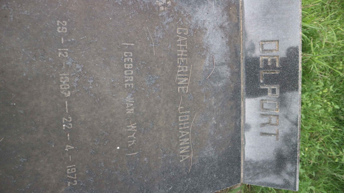 DELPORT Petrus Johannes Cornelius 1904-1980 &amp; Catherine Johanna VAN WYK 1907-1972