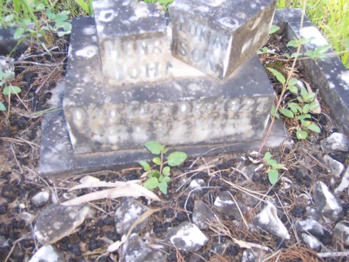 JOHNSON Henry Lukin -1927