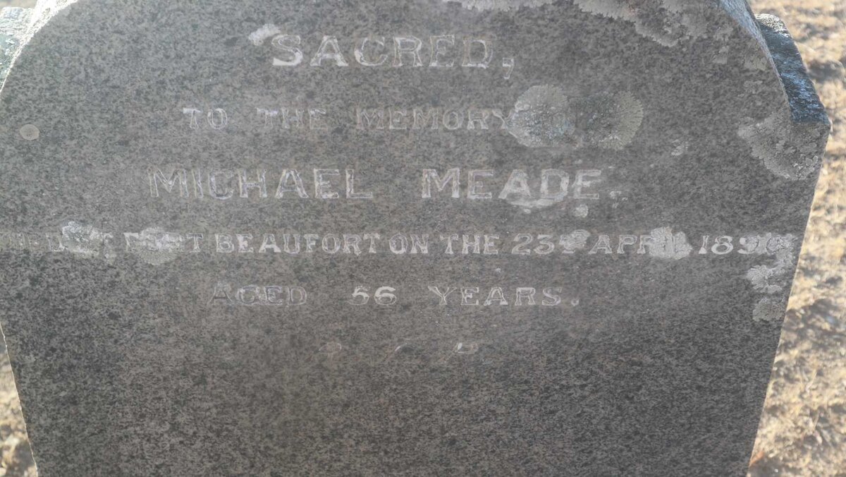 MEADE Michael -1890