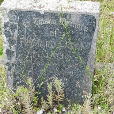 McEVOY Richard John -1891