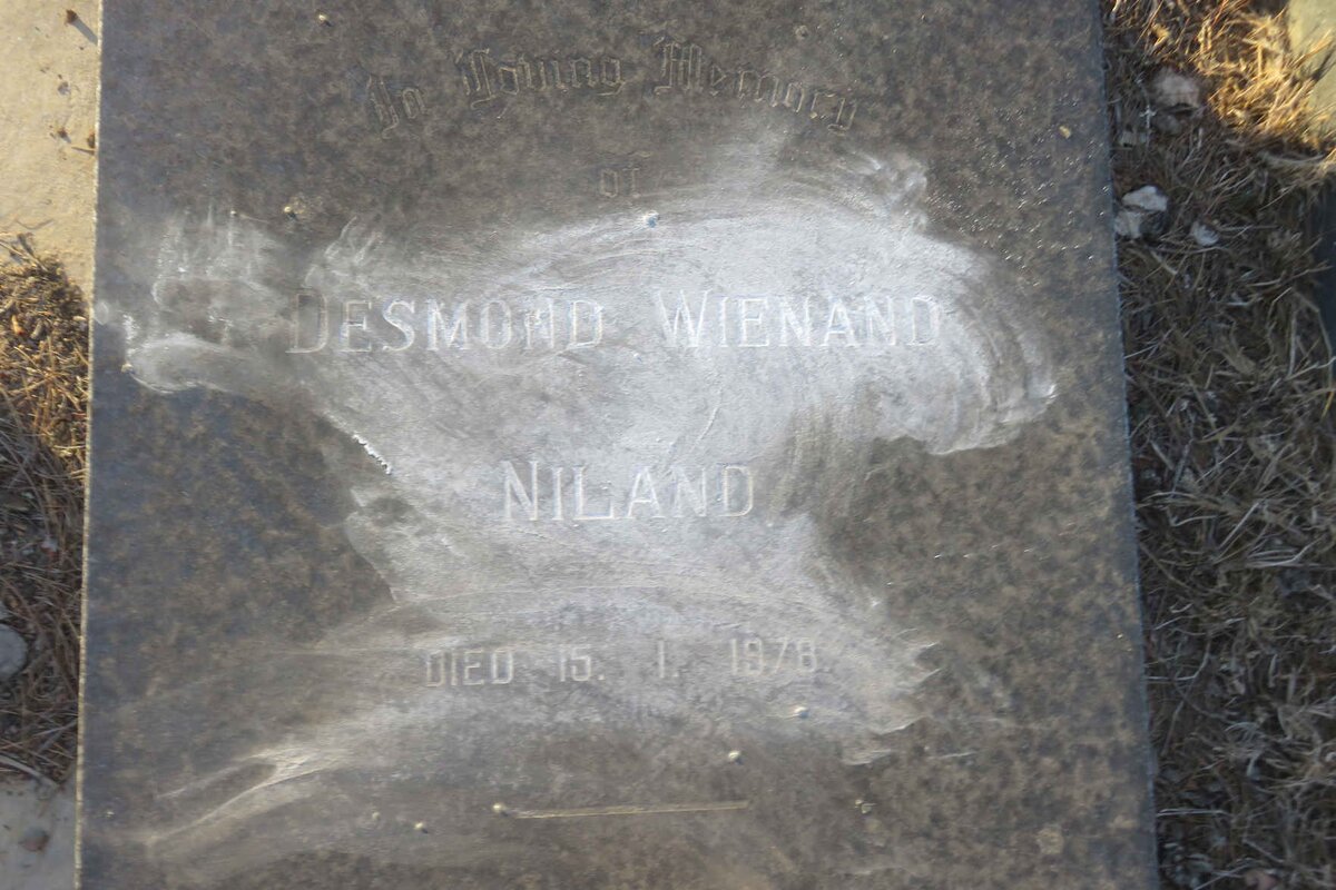 NILAND Desmond Wienand -1978