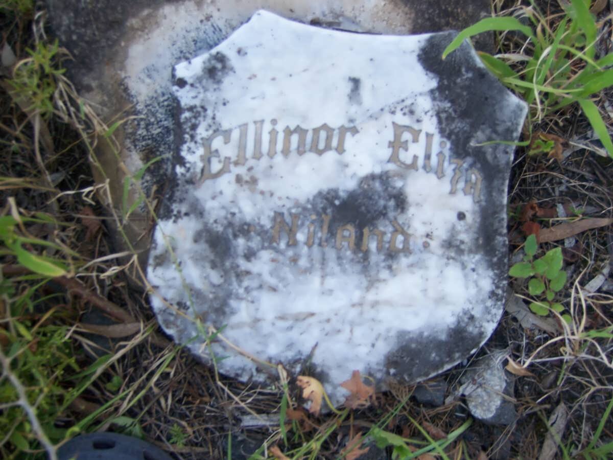 NILAND Ellinor Eliza