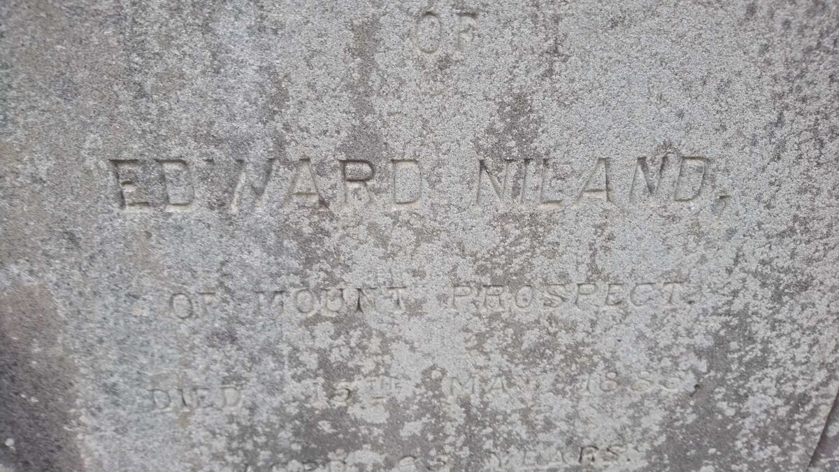 NILAND Edward -1885