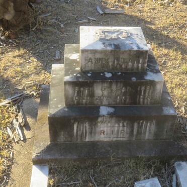 NILAND Fanny 1851-1914