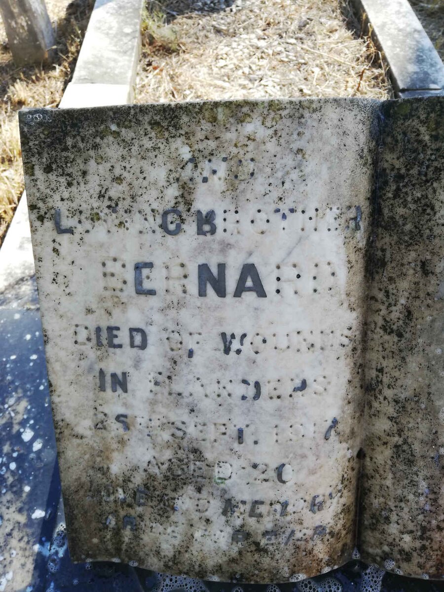 PAINTER Bernard -1917