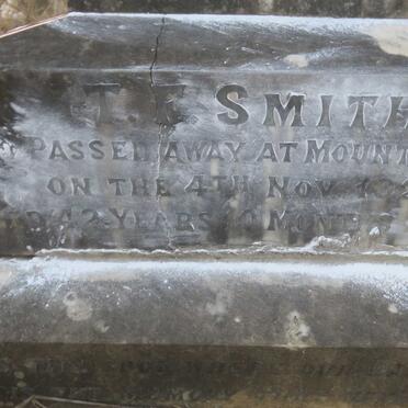 SMITH Amy Elizabeth nee CLARKE -1929