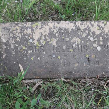 STRYDOM Petrus Jezevus 1889-1949 