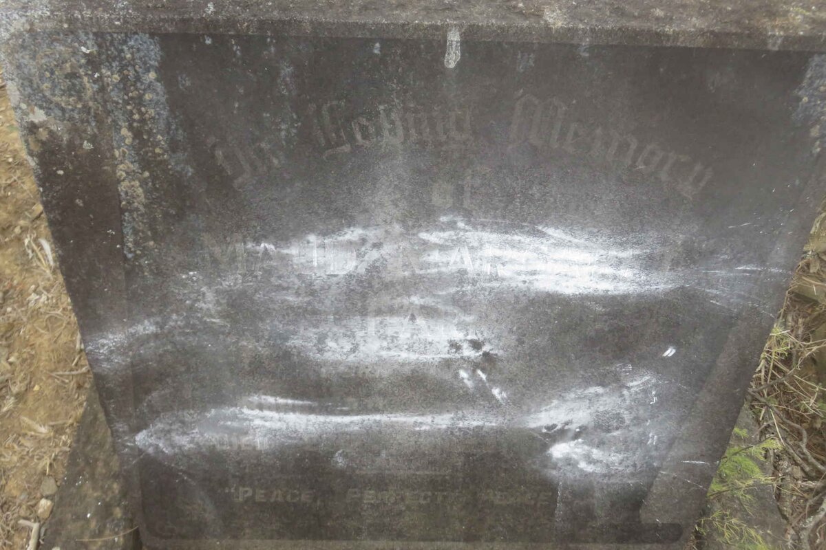 TARR Maud Margaret -19??