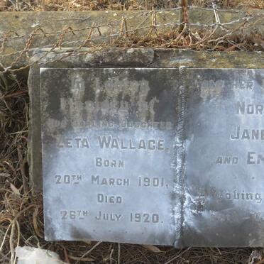 WALLACE Zeta 1901-1920