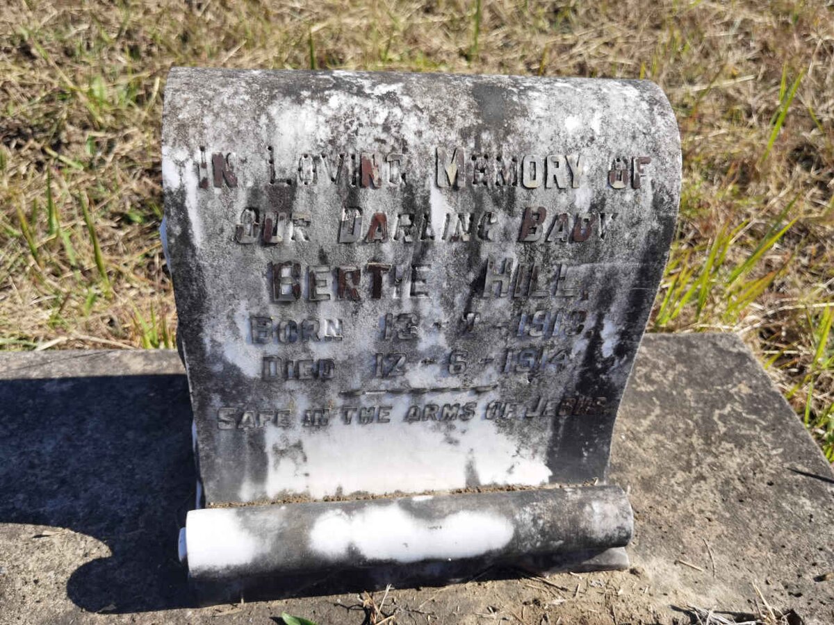 HILL Bertie 1913-1914