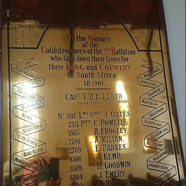 4. Coldstreamers of the 2nd Battalion -1901