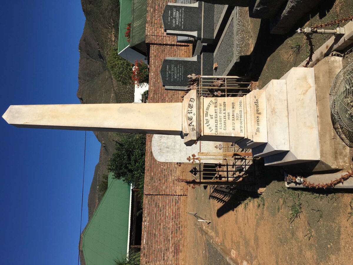 NESER Charles Hart 1854-1902