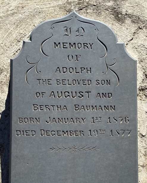 BAUMANN Adolph 1876-1877