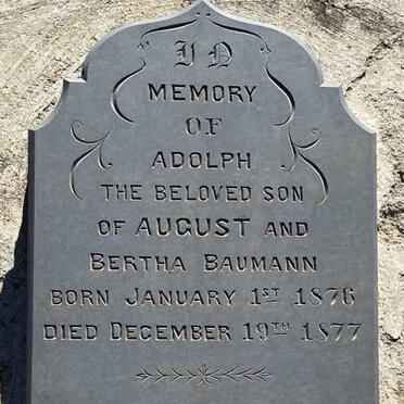 BAUMANN Adolph 1876-1877