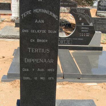 DIPPENAAR Tertius 1953-1971