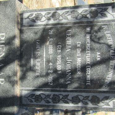 PIENAAR Cecilia Johanna nee VOSLOO 1880-1962