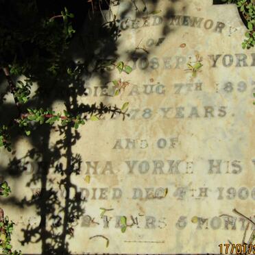 Y - Surnames :: Vanne - Y