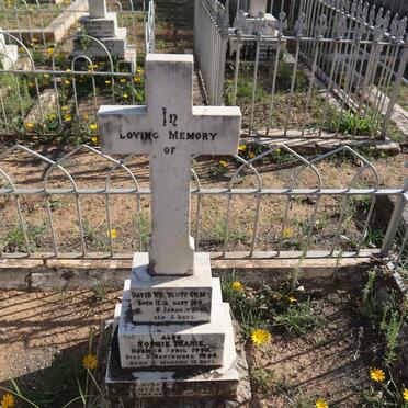 MORRIS David Westcott Orme 1892-1892 :: MORRIS Sophie Marie 1893-1893_1