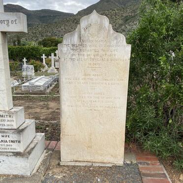 SMITH Susan Maria -1880 :: SMITH John -1879 :: SMITH Henry James -1878