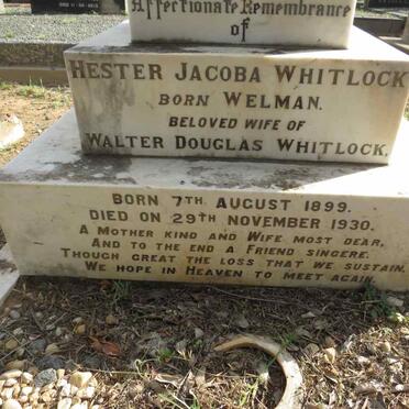 W-Surnames _ Vanne-W