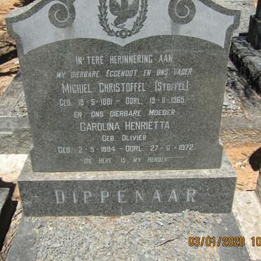 DIPPENAAR Michiel Christoffel 1881-1965 &amp; Carolina Henriëtta OLIVIER 1884-1972