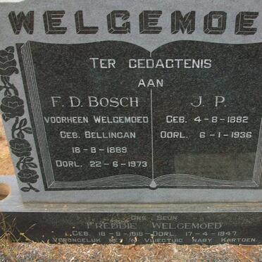 WELGEMOED J.P. 1882-1936 &amp; F.D. BOSCH voorheen WELGEMOED nee BELLINGAN 1889-1973