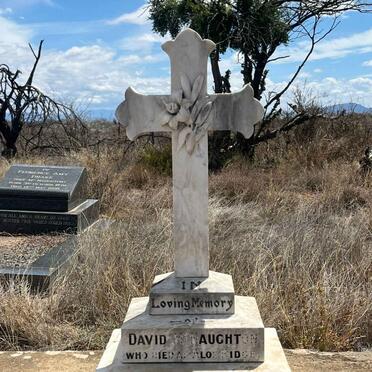 MCNAUGHTON David -1907