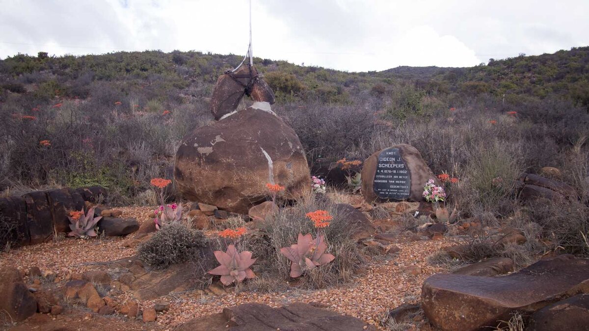 2. Overview / Oorsig in 2021