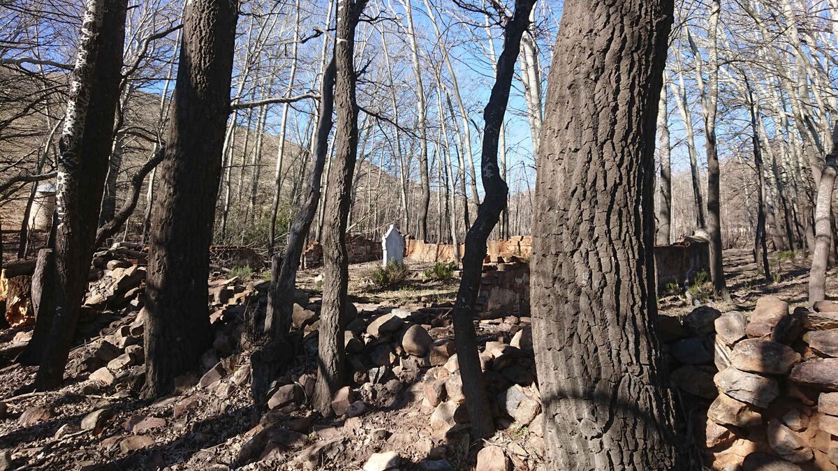 1. Overview / Oorsig