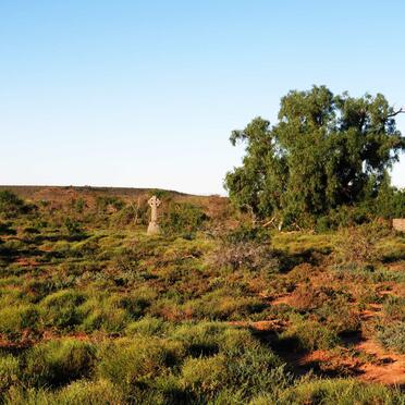 Eastern Cape, GRAAFF-REINET district, Kendrew Settlement, Kendrew 481, farm cemetery
