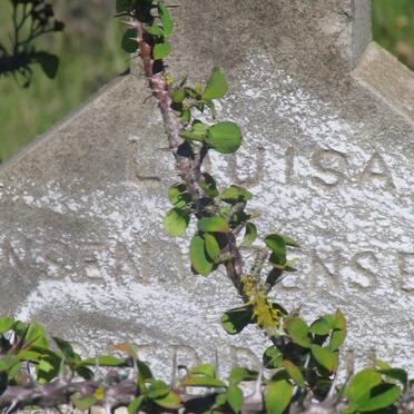 RENSBURG Louisa, Jansen van -1926