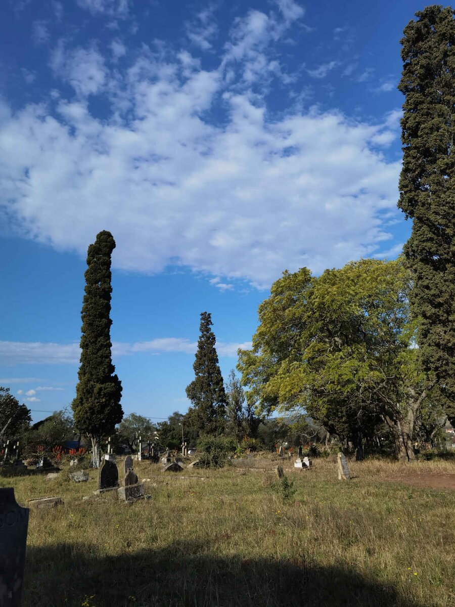 11. Overview / Oorsig