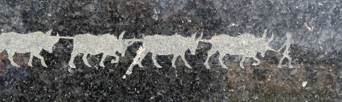 2. Overview / Oorsig