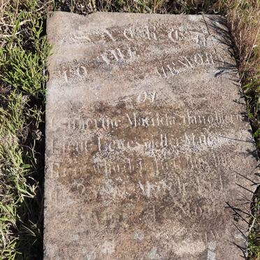 ? possibly Catherine M...