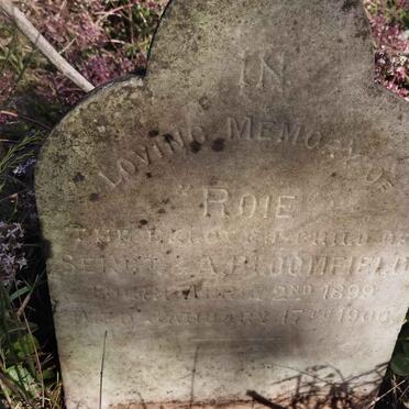 BLOOMFIELD Roie 1899-1900