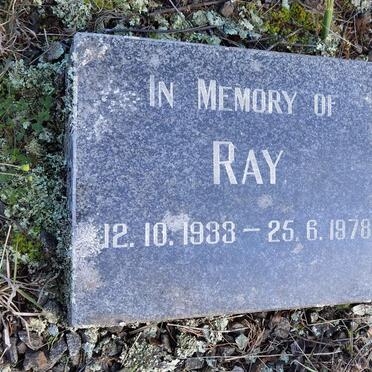 BILLSON Ray 1933-1978