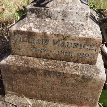 BURKE William Maurice 1882-1883 :: BURKE Mary -1893