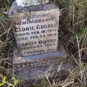 CLARK Cedric George 1915-1916 :: CLARK Ernest Oliver -1904