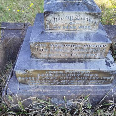 CALVERT Johanna Dorothea Rebecca nee PREUSS 1860-1926