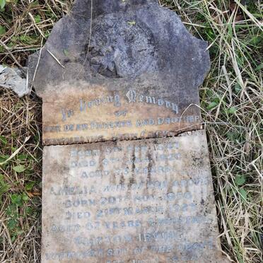 COCKROFT Cornelius John 1847-1920 &amp; Amelia 1856-1923 :: COCKROFT Clinton Irving 1894-1914