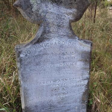 DAVIES John Richard -1857 :: DAVIES Amelia -1860 :: DAVIES Elizabeth Ann -1868 :: DAVIES Amy Kate -1869 :: DAVIES Jessie Emma -1869 :: DAVIES Margret Ellen -1869