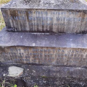 DOLD Bennetta Jane -1913 :: DOLD  James Matthew Witheridge