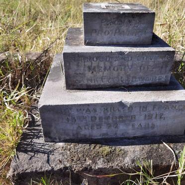 EDWARDS Frank Cecil -1917