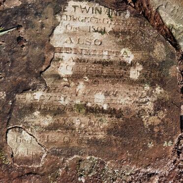 FITZGERALD Emily Jane -1861 :: FITZGERALD Henrietta -1861 :: FITZGERALD Ferdinand -1861 :: FITZGERALD Charles Edward -1861