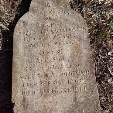 GOLDSWAIN Frank -1890 :: GOLDSWAIN Adelaide 1860-1881