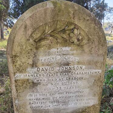 JOHNSON David -1899