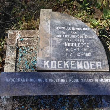 KOEKEMOER Nicolette 1961-1961