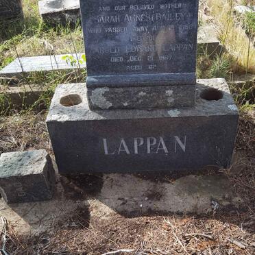 LAPPAN John -1916 &amp; Sarah Agnes BAILEY -1950 :: LAPPAN Harold Edward -1967